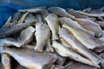 Custom fish processing services with Silvera Food
