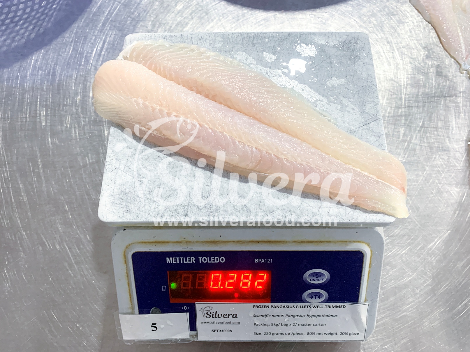 Pangasius fillet
