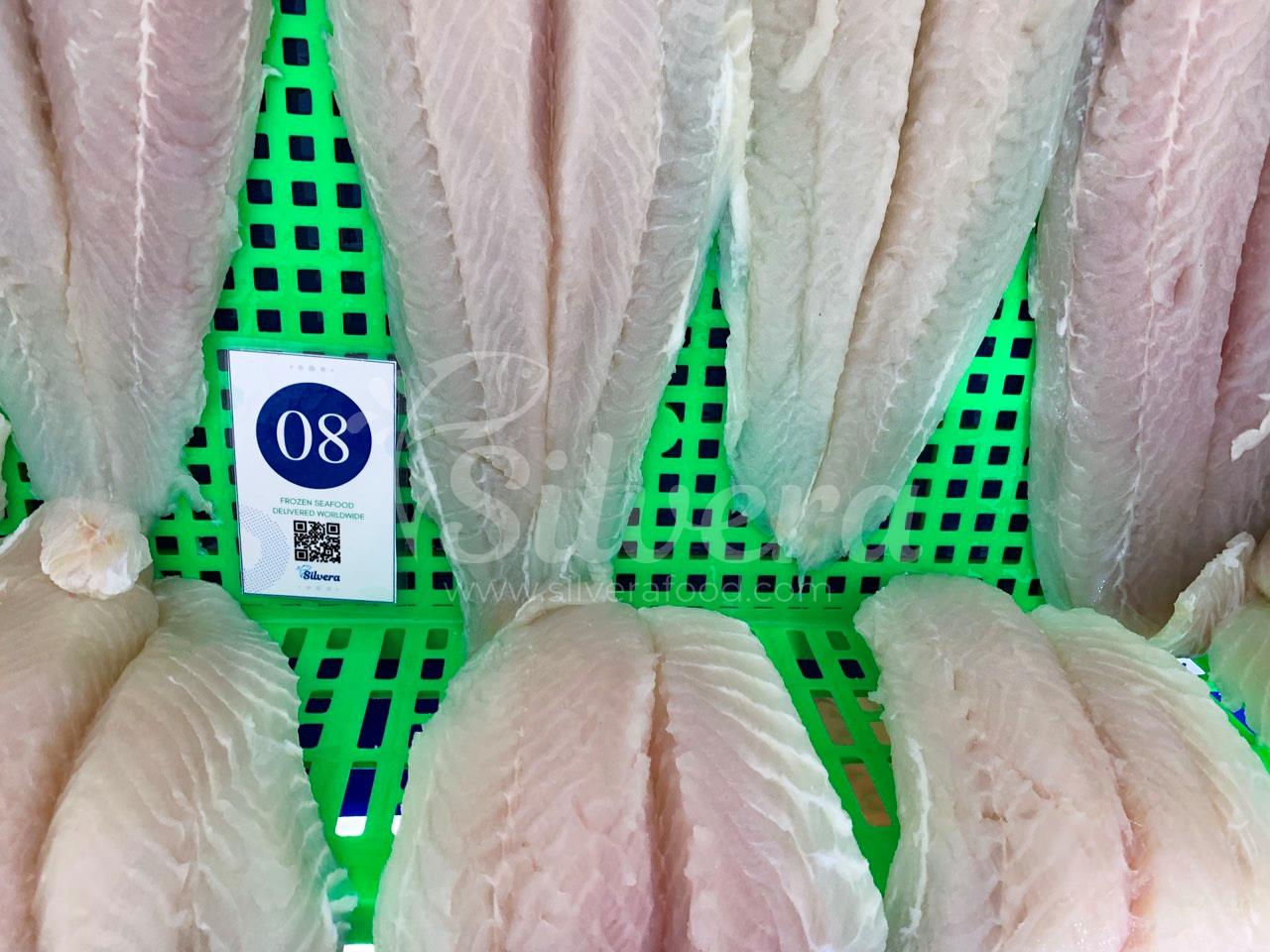 Defrosted pangasius fillets