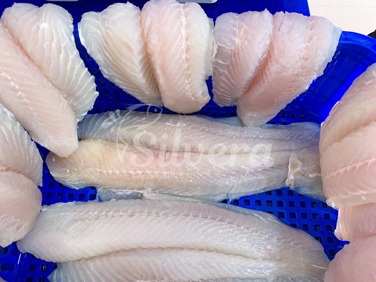 Defrosted pangasius fillets