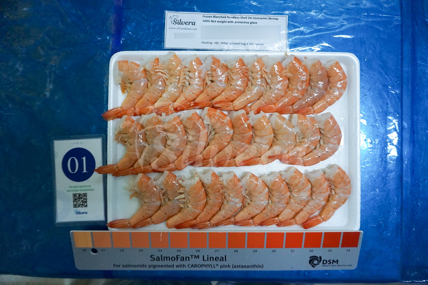 Defrosted blanched HLSO vannamei shrimp