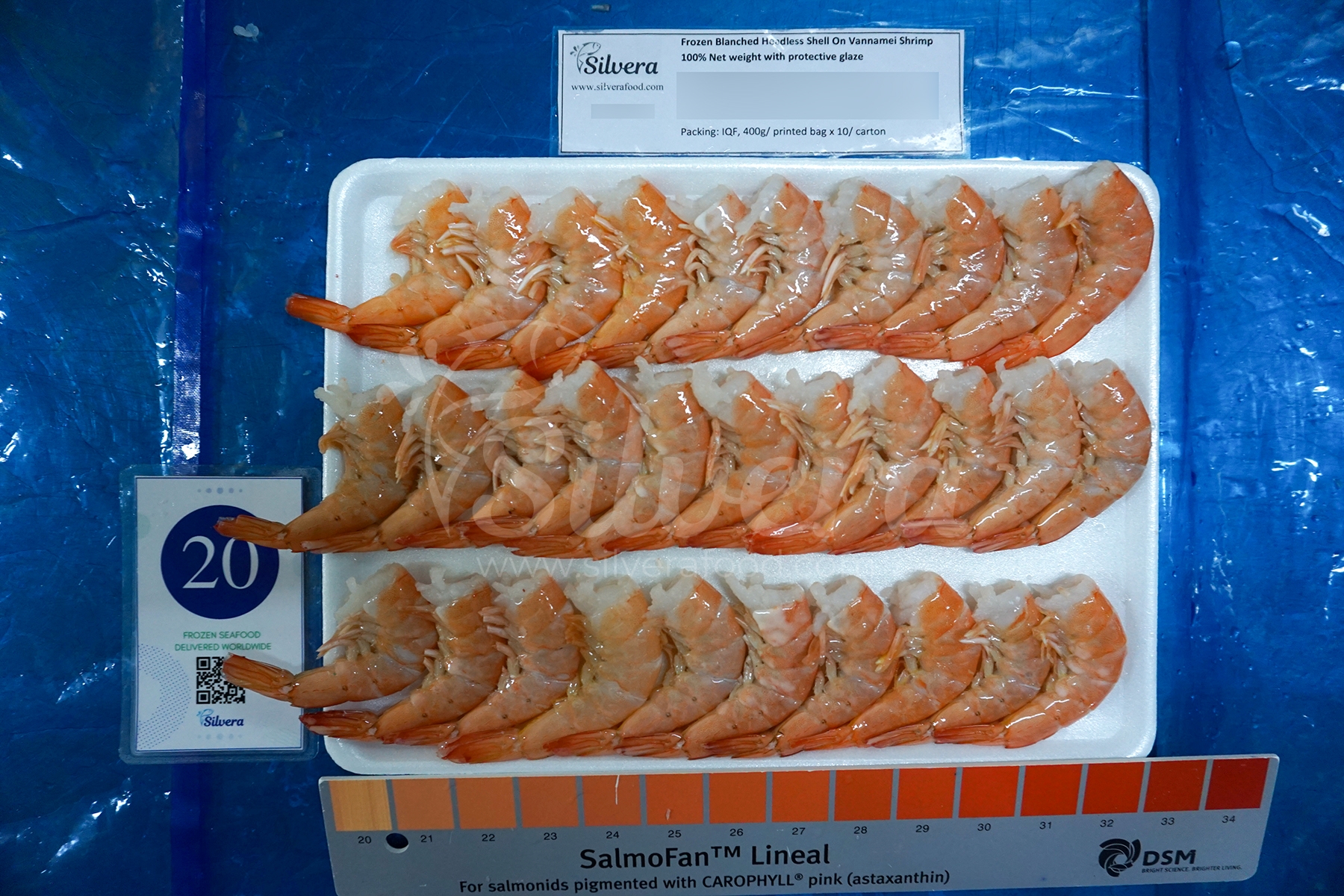 Defrosted blanched HLSO vannamei shrimp