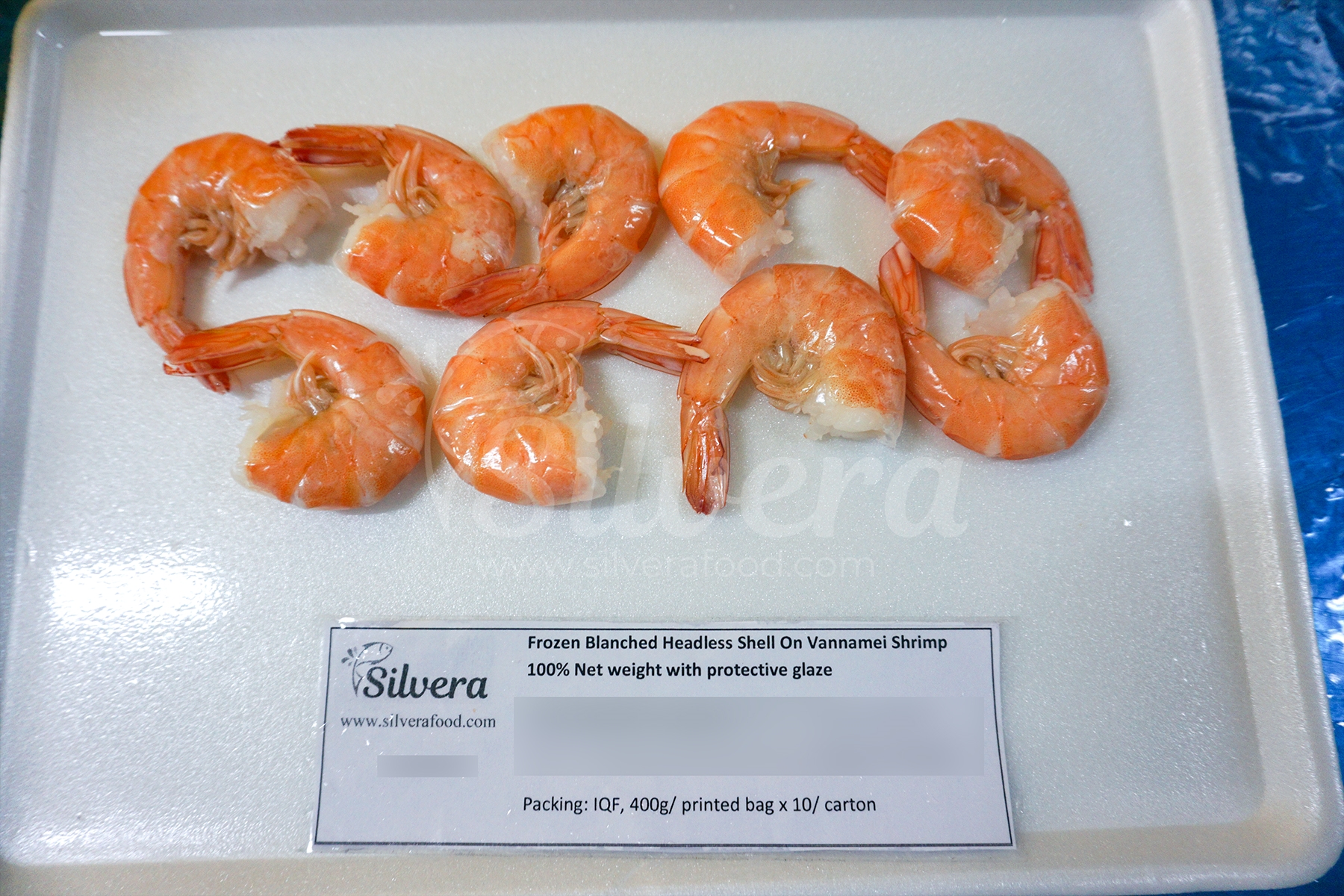 Steamed HLSO vannamei shrimp