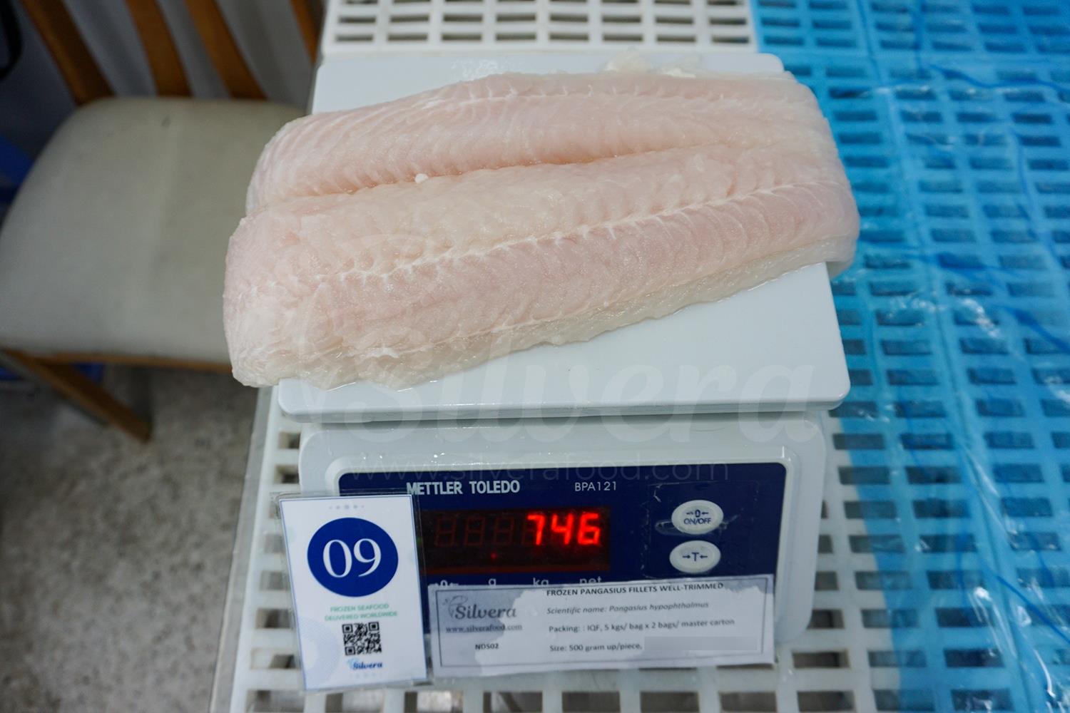 Basa fillet size 500 grams up per piece