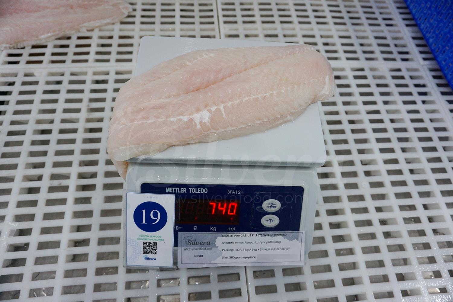 Basa fillet size 500 grams up per piece