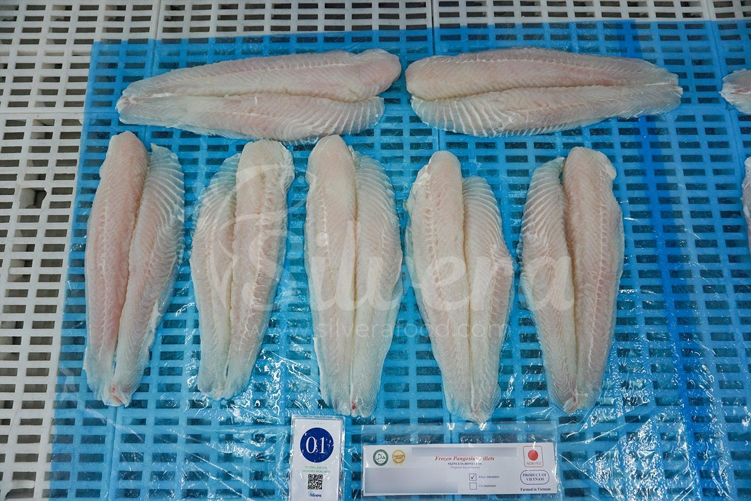 Defrosted basa fillets