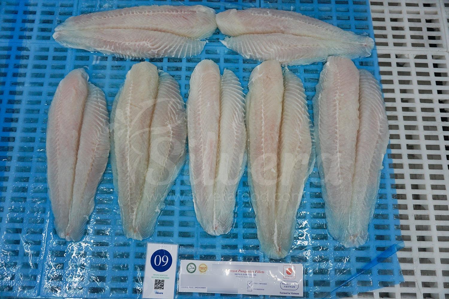 Defrosted basa fillets