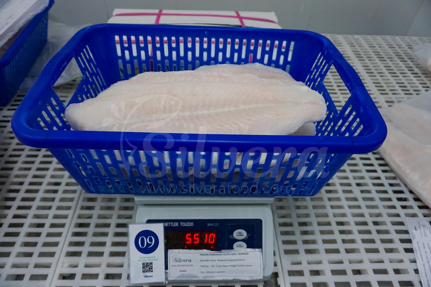 Frozen basa fillets