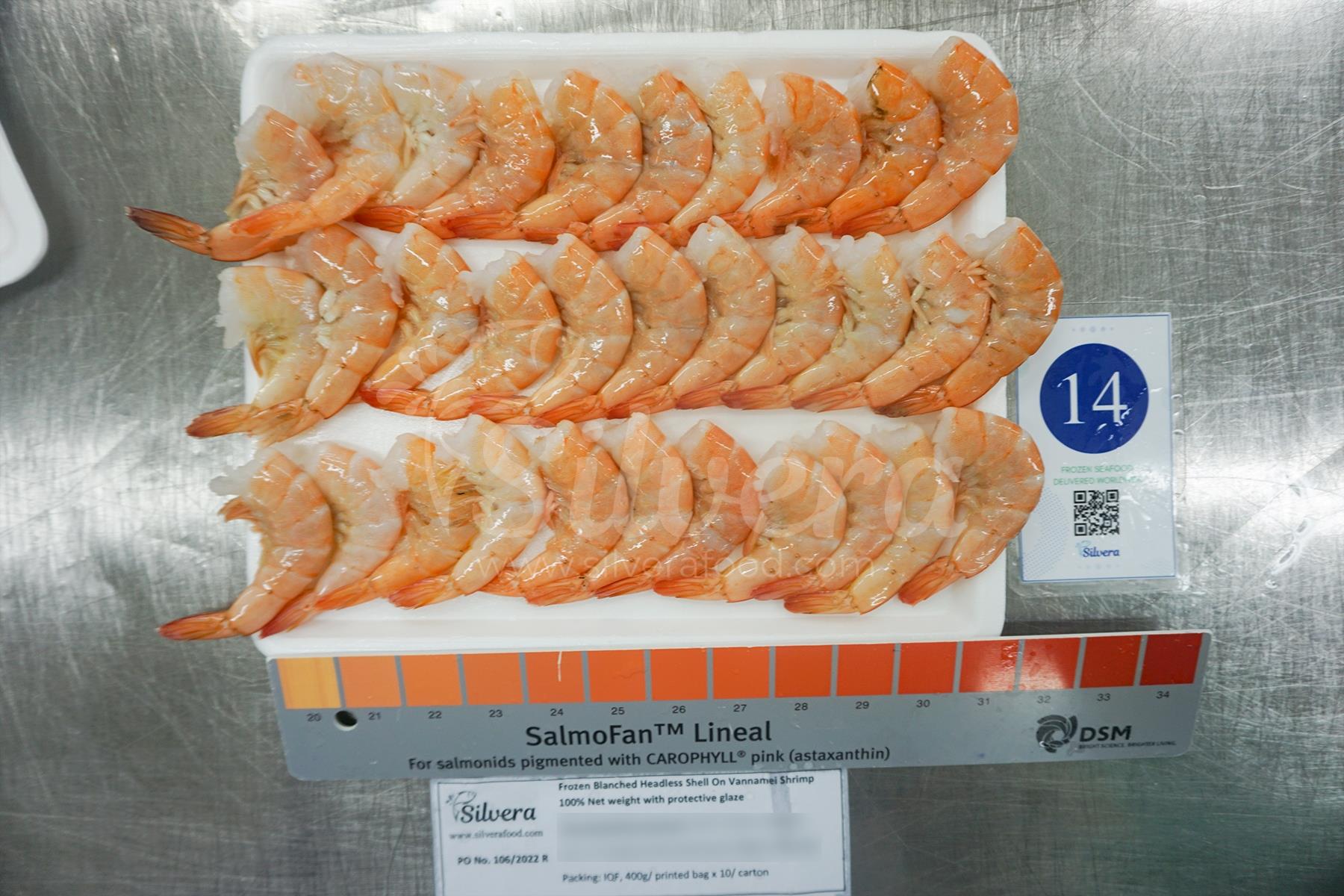 Defrosted blanched headless vannamei shrimps