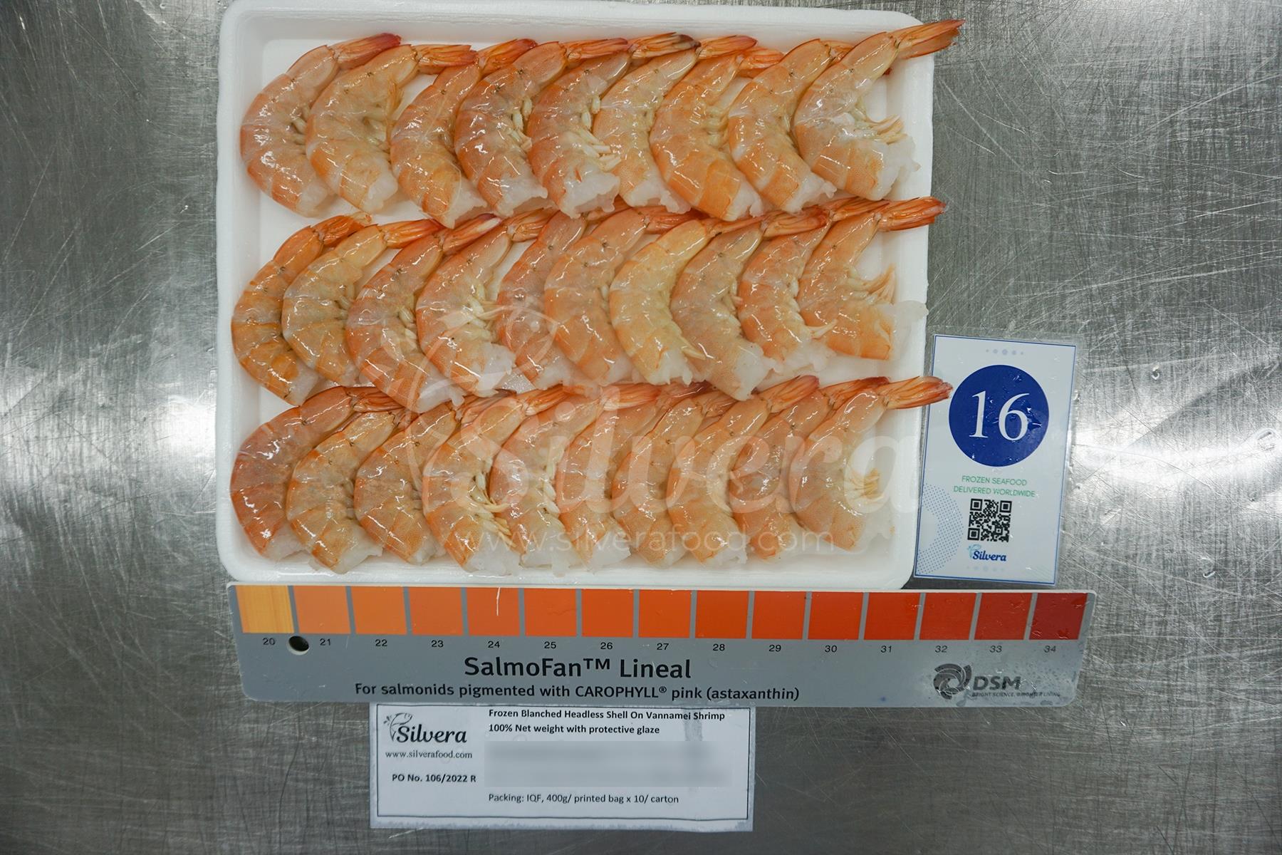 Defrosted blanched headless vannamei shrimps