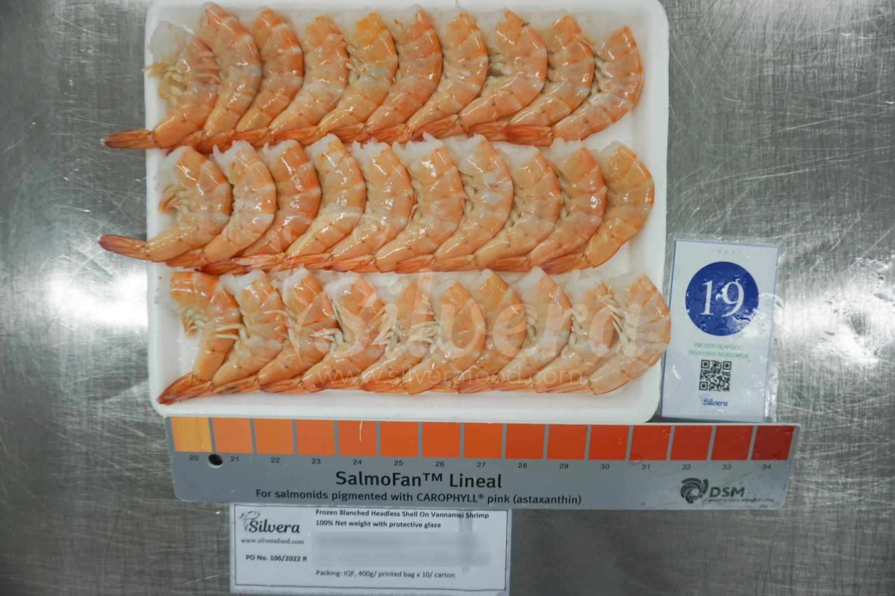 Defrosted blanched headless vannamei shrimps