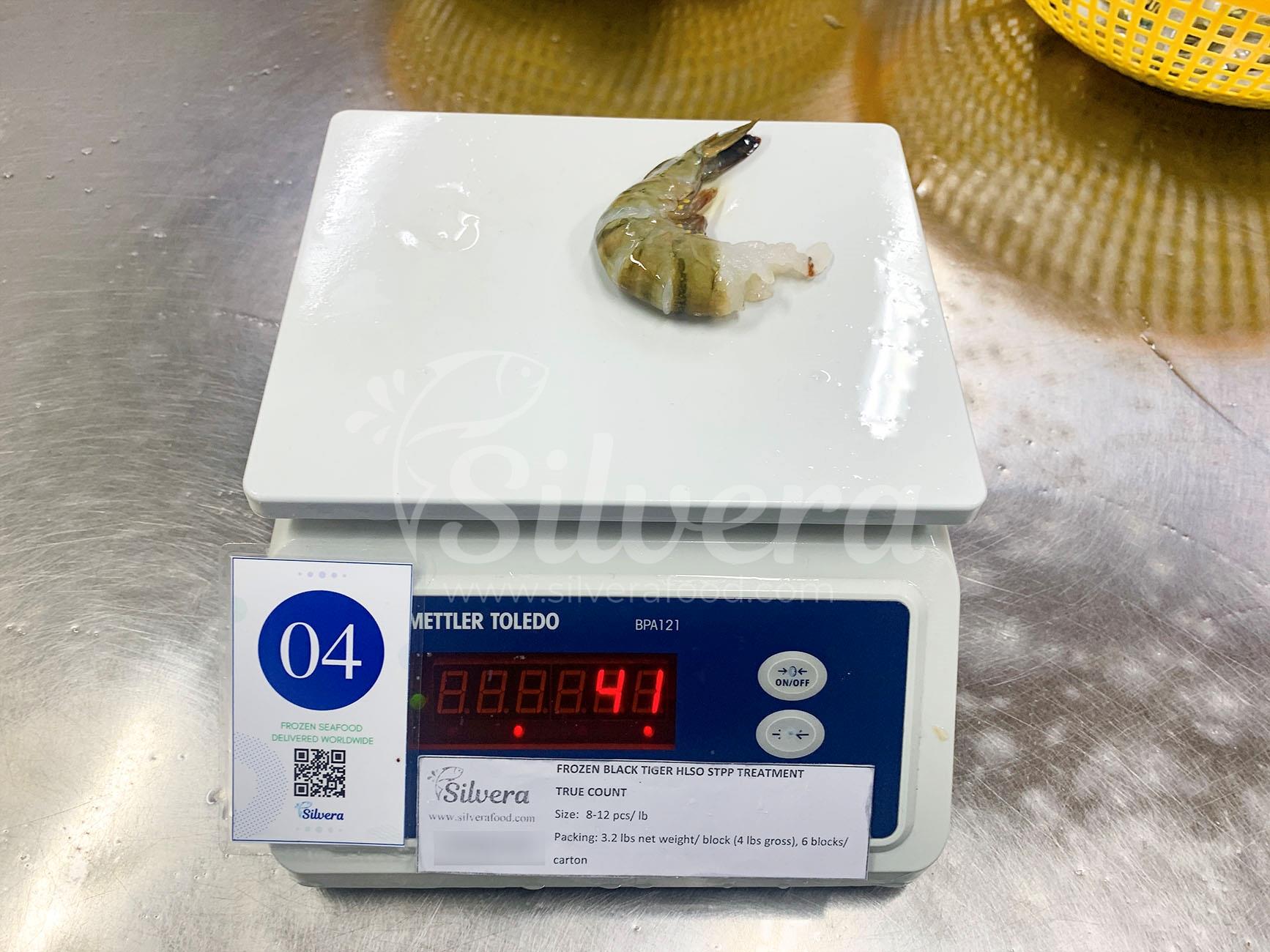 Black tiger shrimp HLSO size 8-12