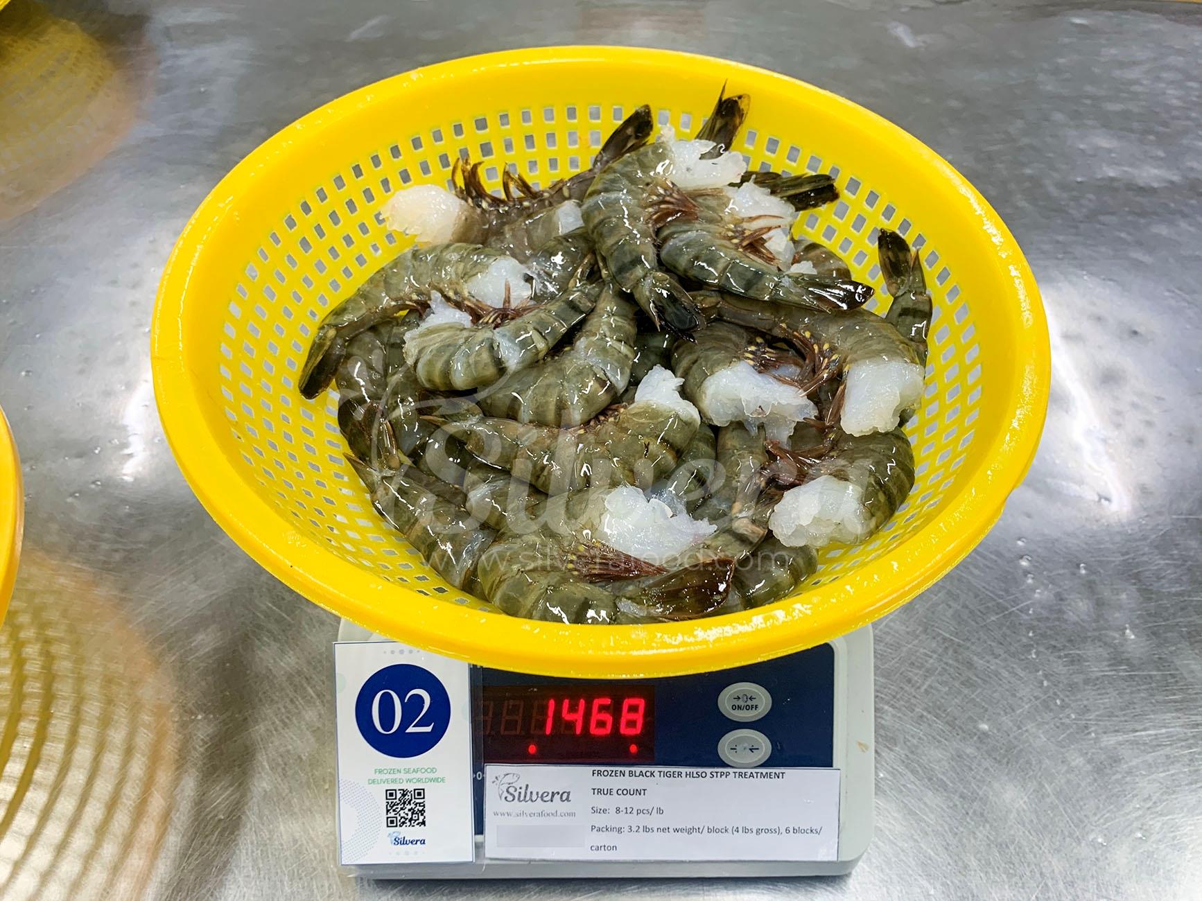 Headless Black Tiger Shrimp Of Big Sizes Done In Time For Delivery In