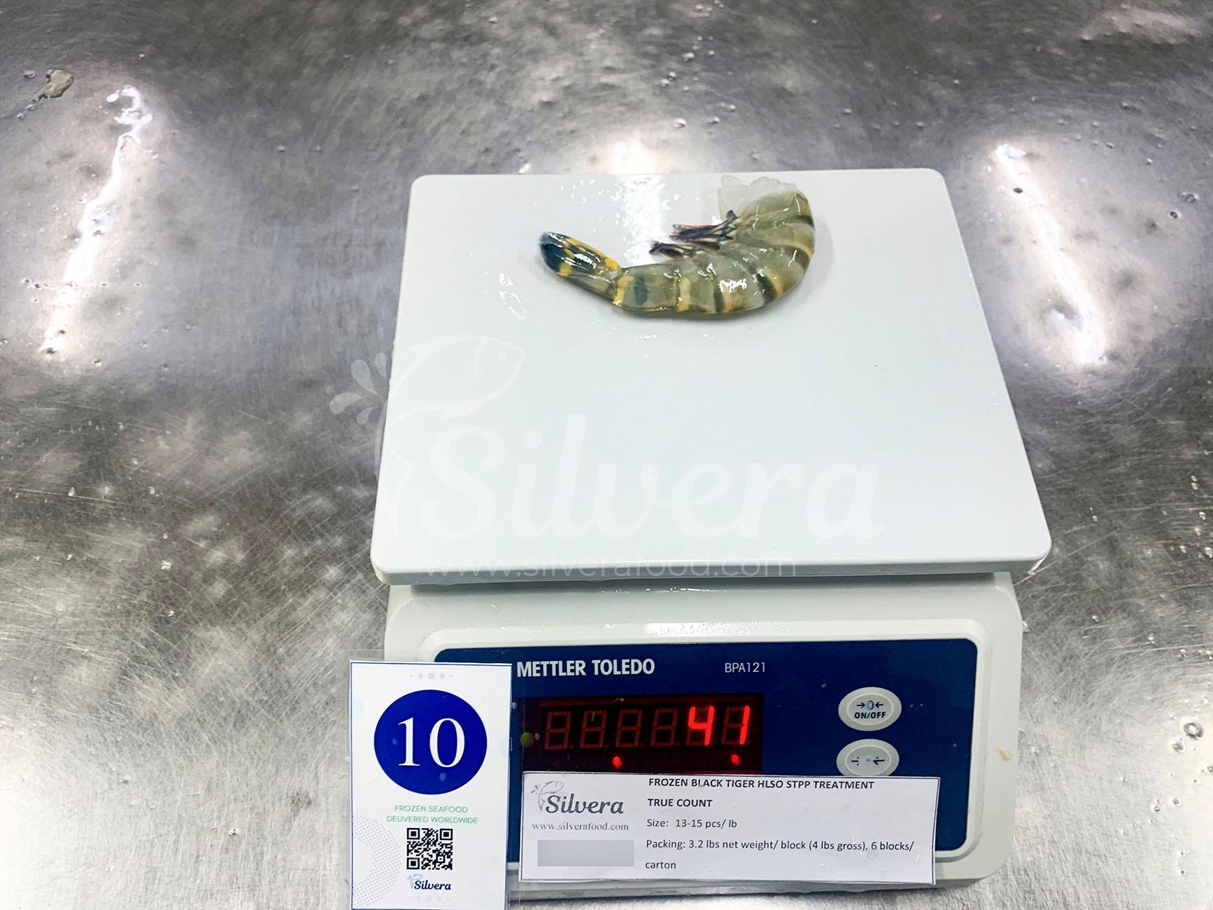 Black tiger shrimp HLSO size 13-15