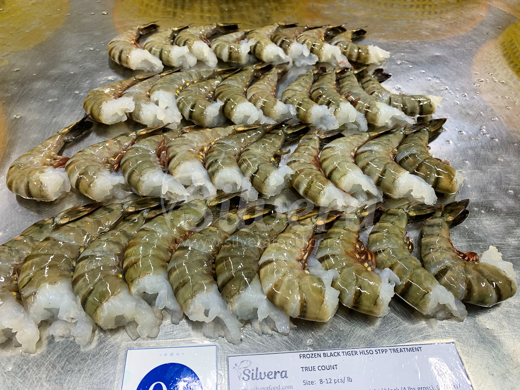 Thawed black tiger HLSO