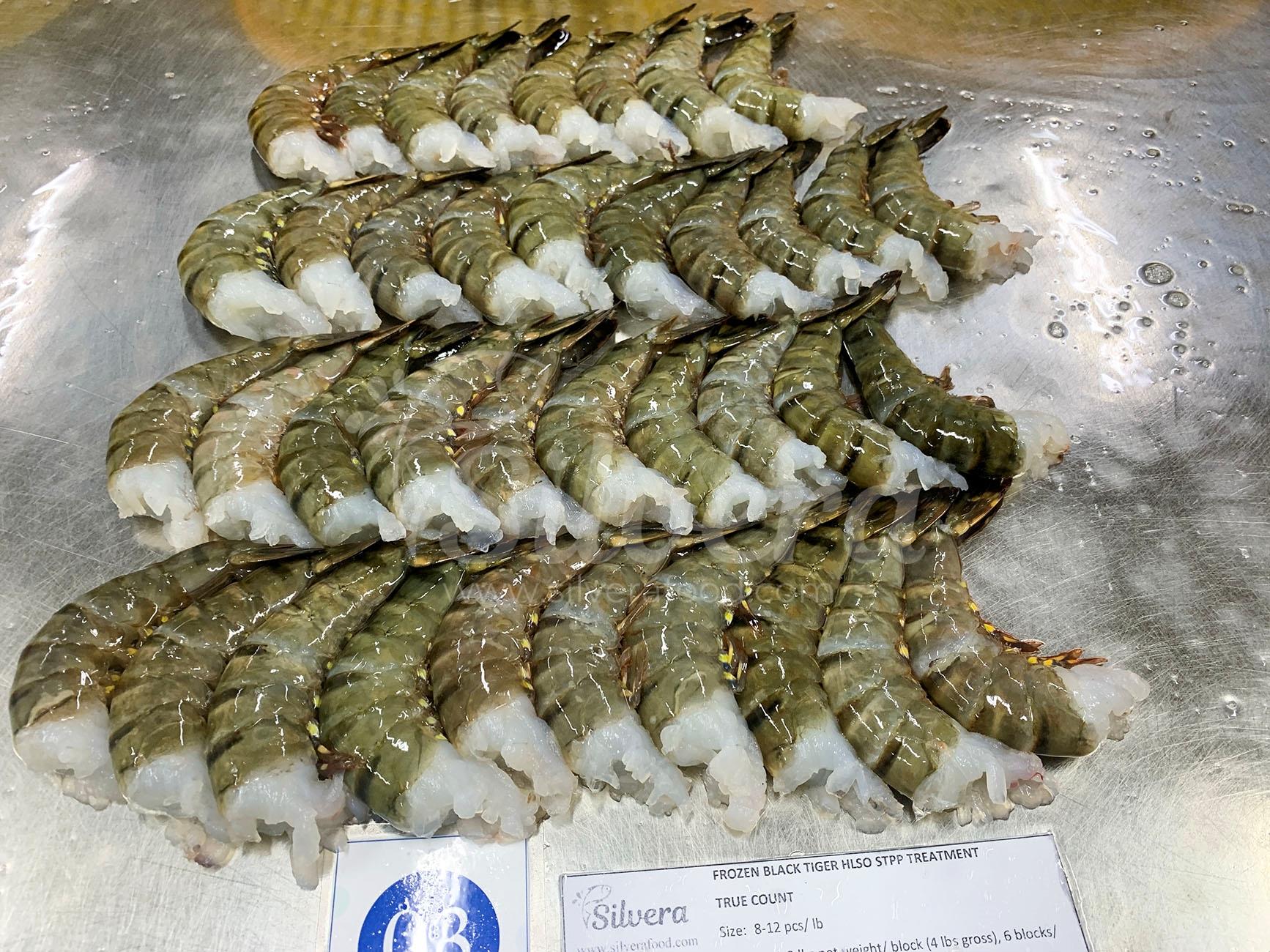 Thawed black tiger HLSO