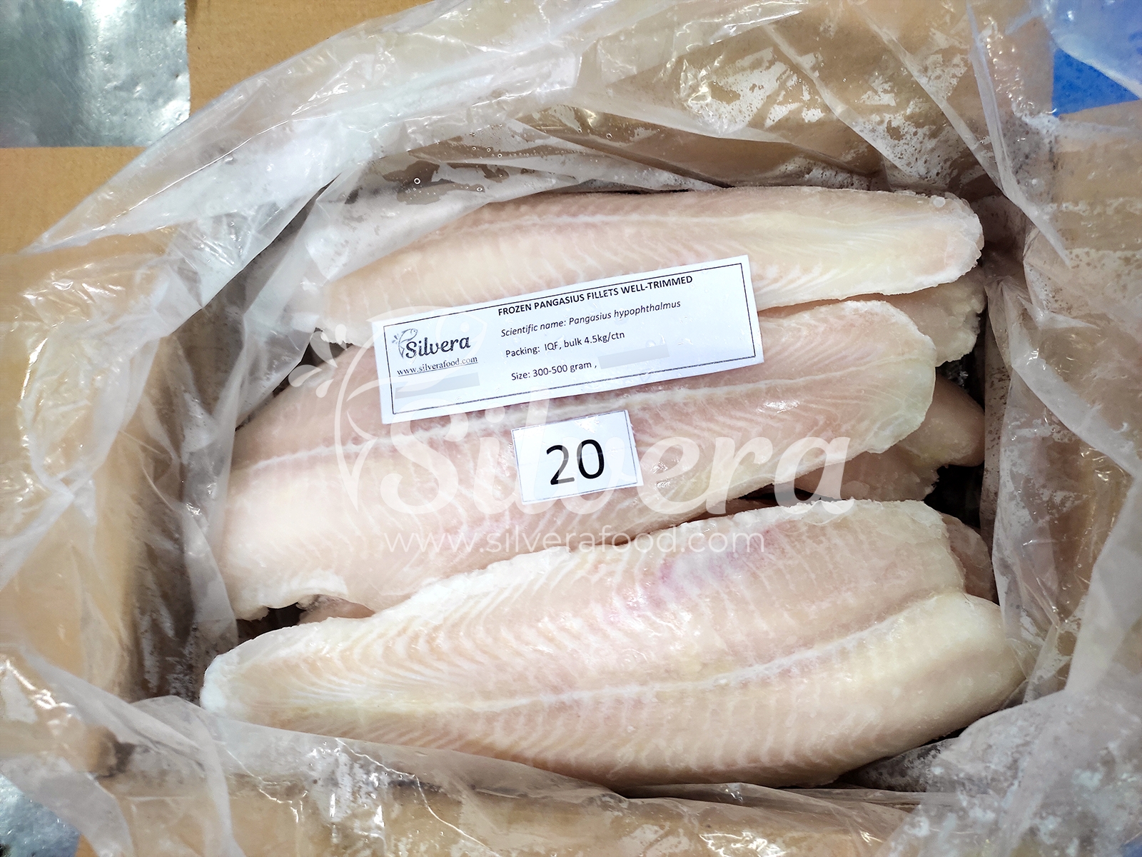 Frozen pangasius fillets