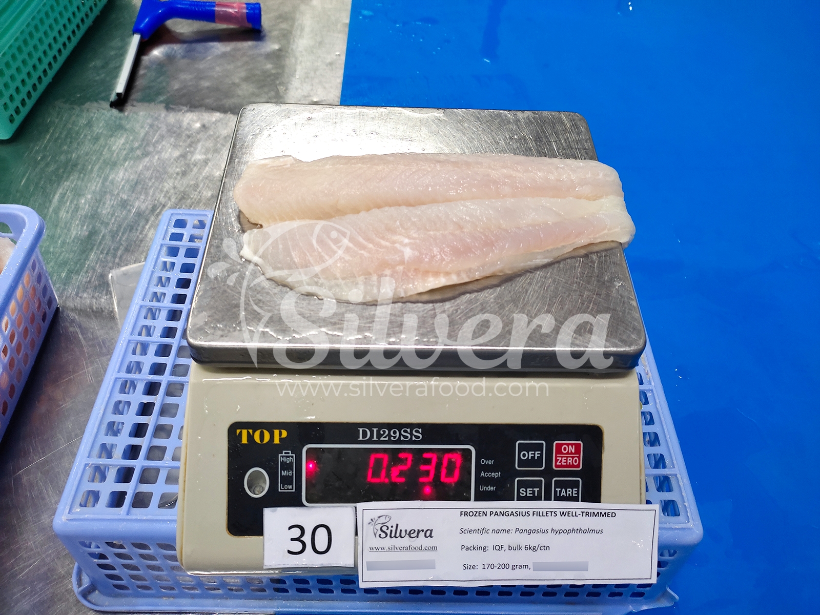 Thawed pangasius fillet