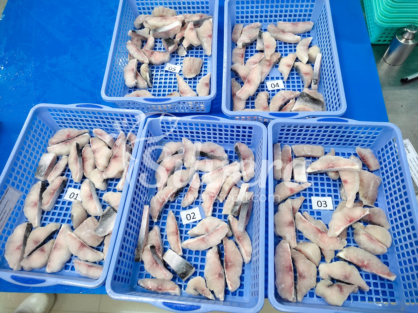 Frozen pangasius slices (patin slices)