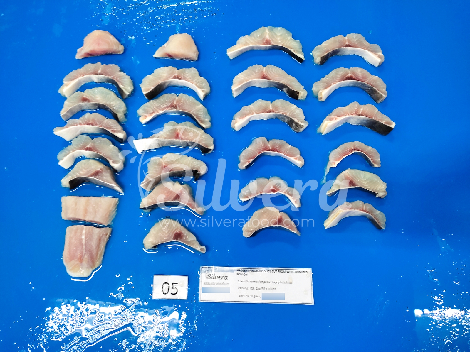 Thawed pangasius slices (patin slices)