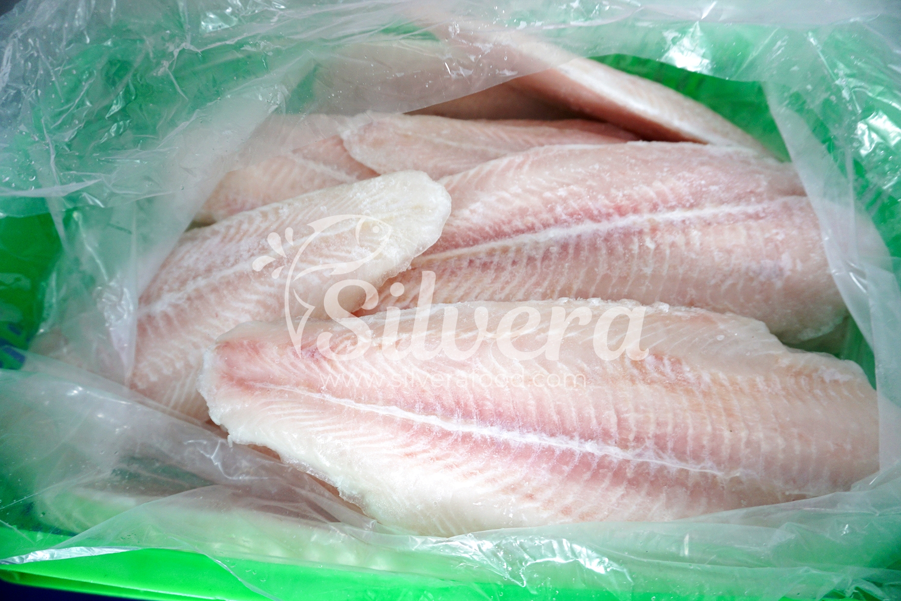 Frozen pangasius fillets