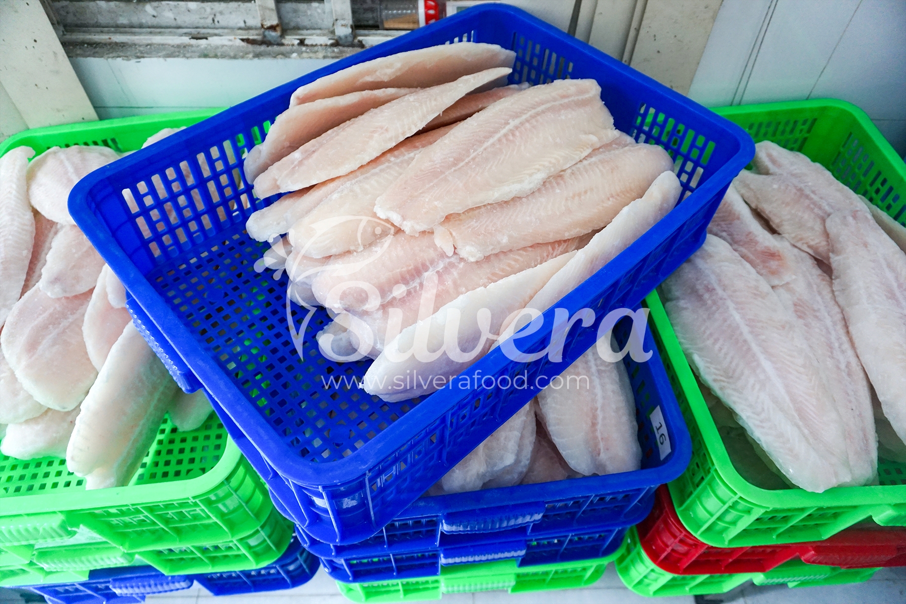 Frozen pangasius fillets