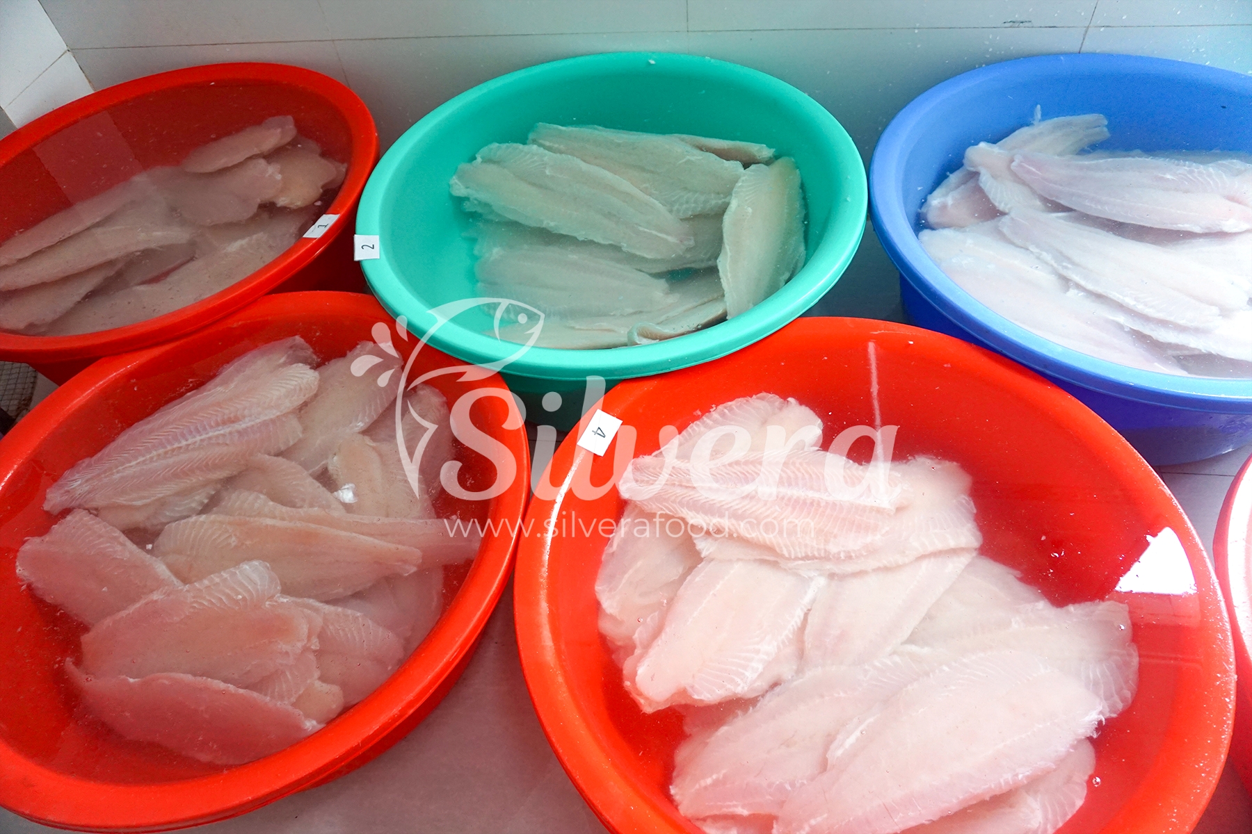 Thawing pangasius fillets