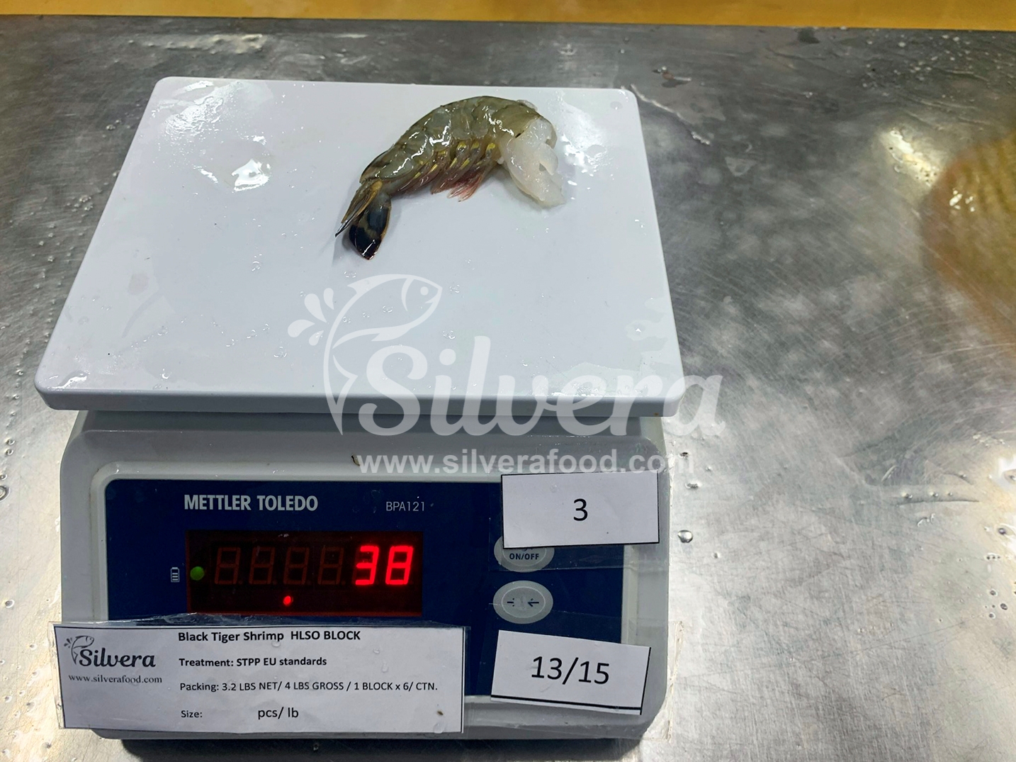 HLSO black tiger shrimp