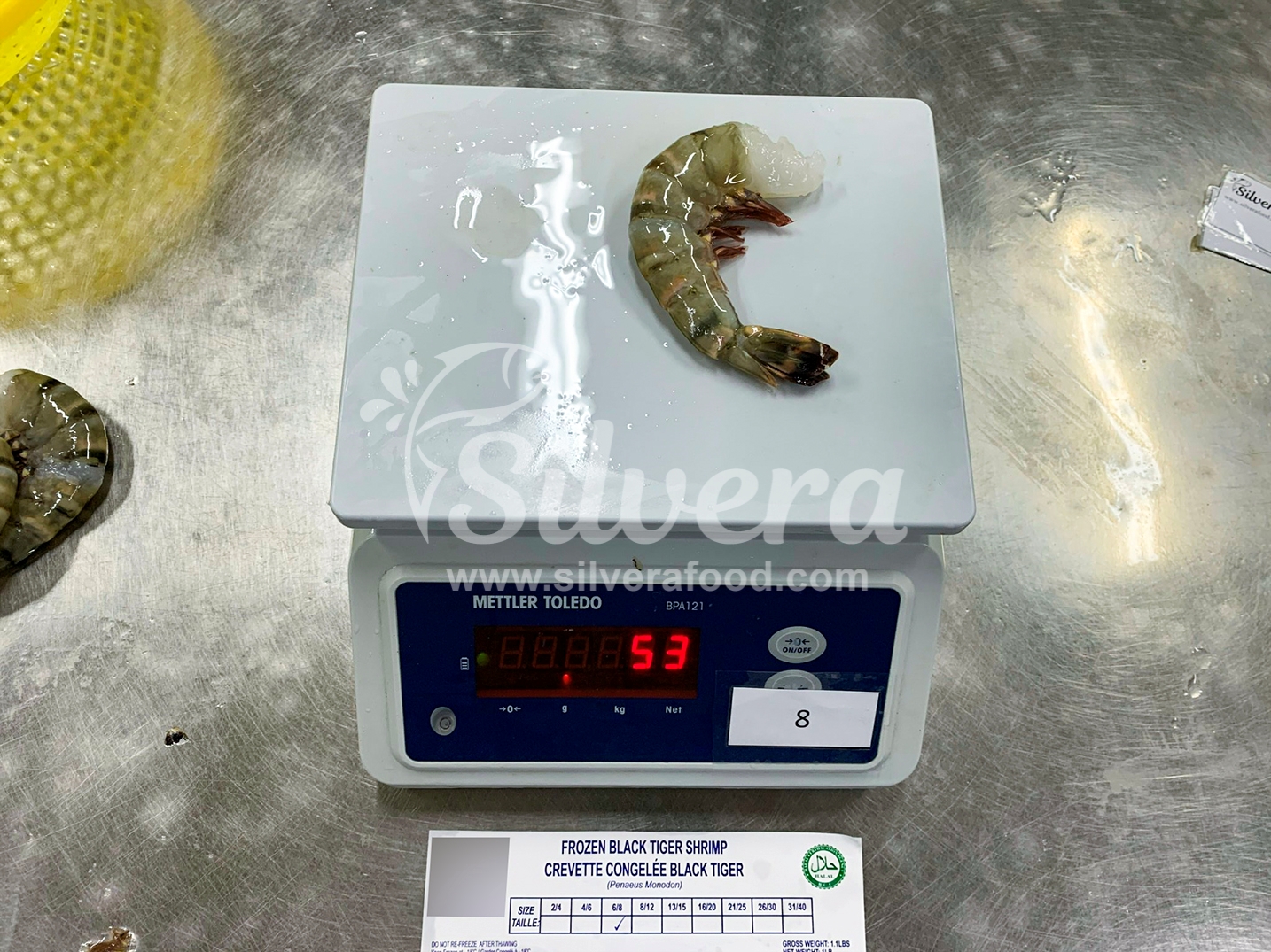 HLSO black tiger shrimp