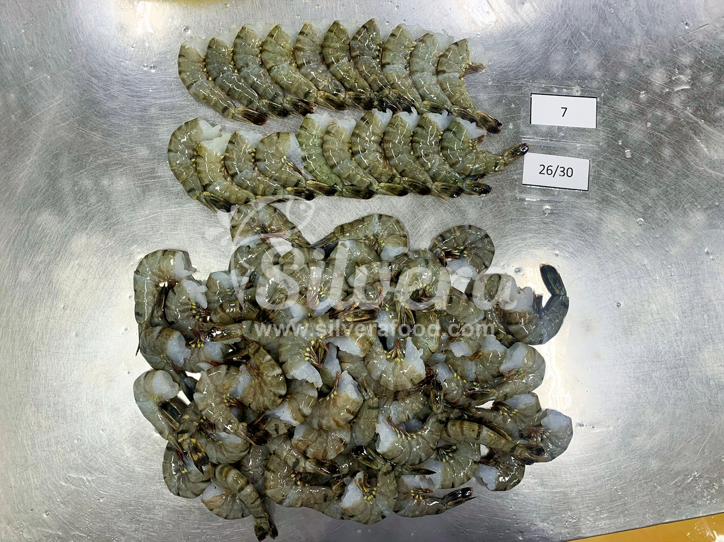 HLSO black tiger shrimp