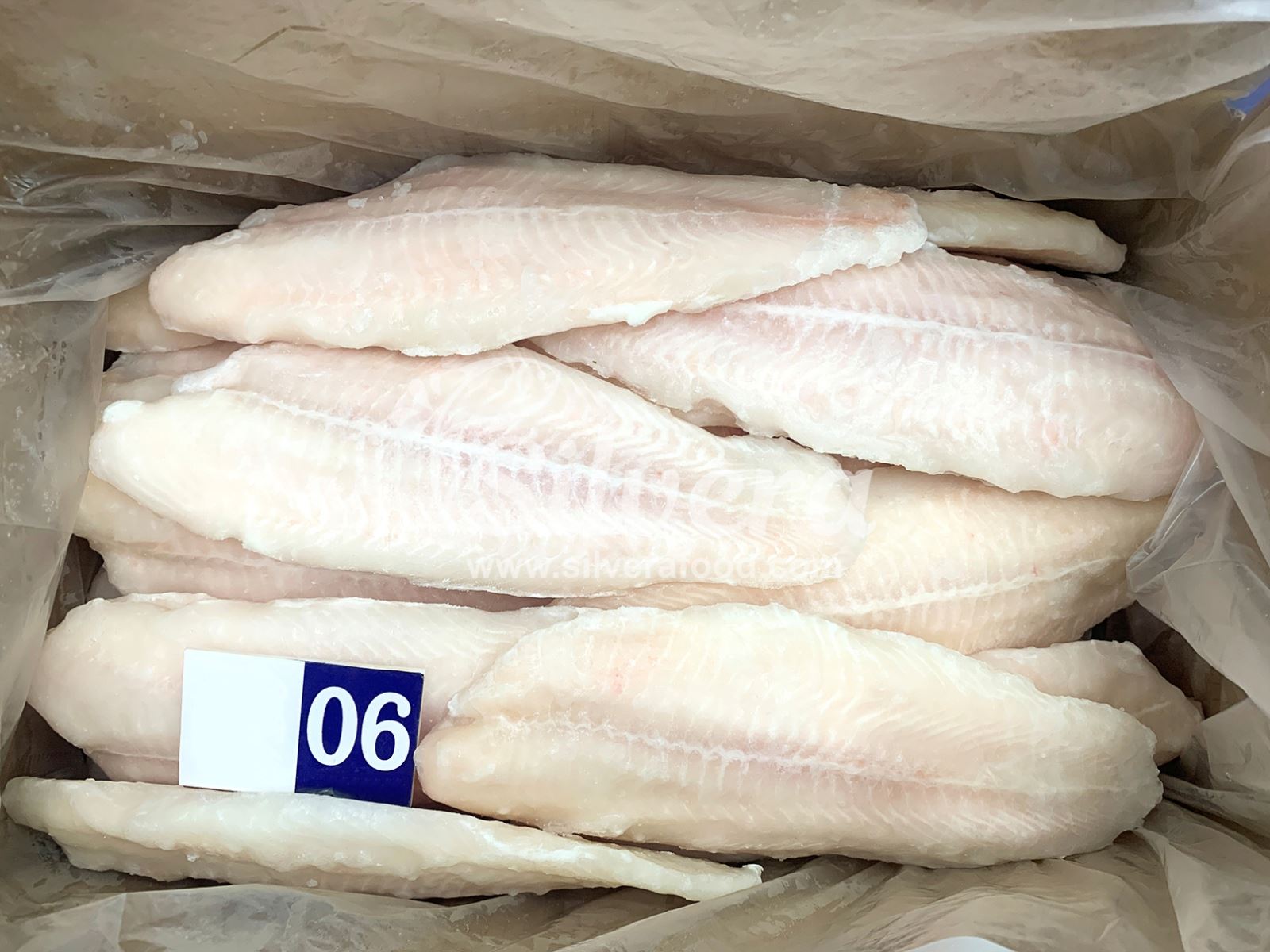 Frozen sutchi fillets