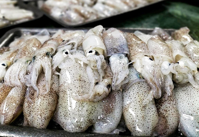 Squid and octopus exports rise due to high demand in Korea and the world. 