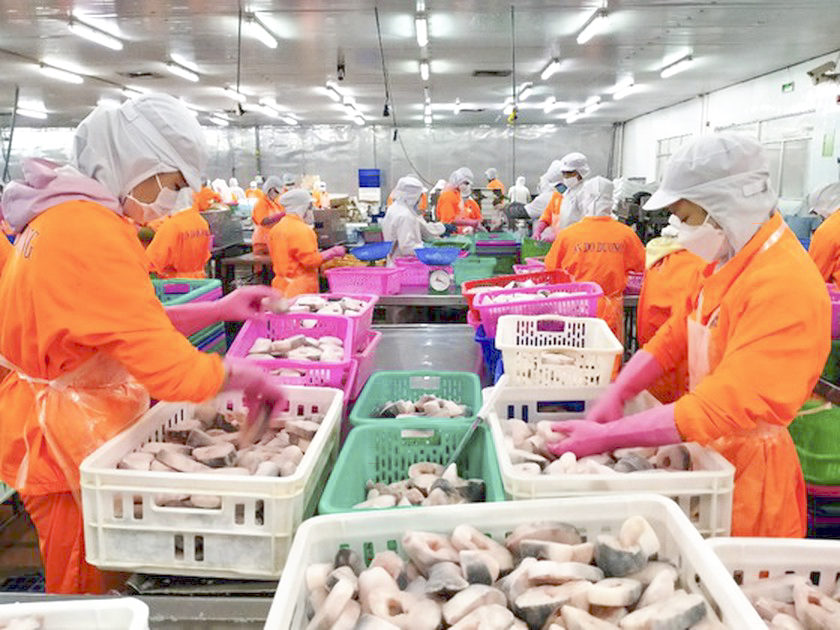 Pangasius Exports Exceed US 1.62 Billion In 2021