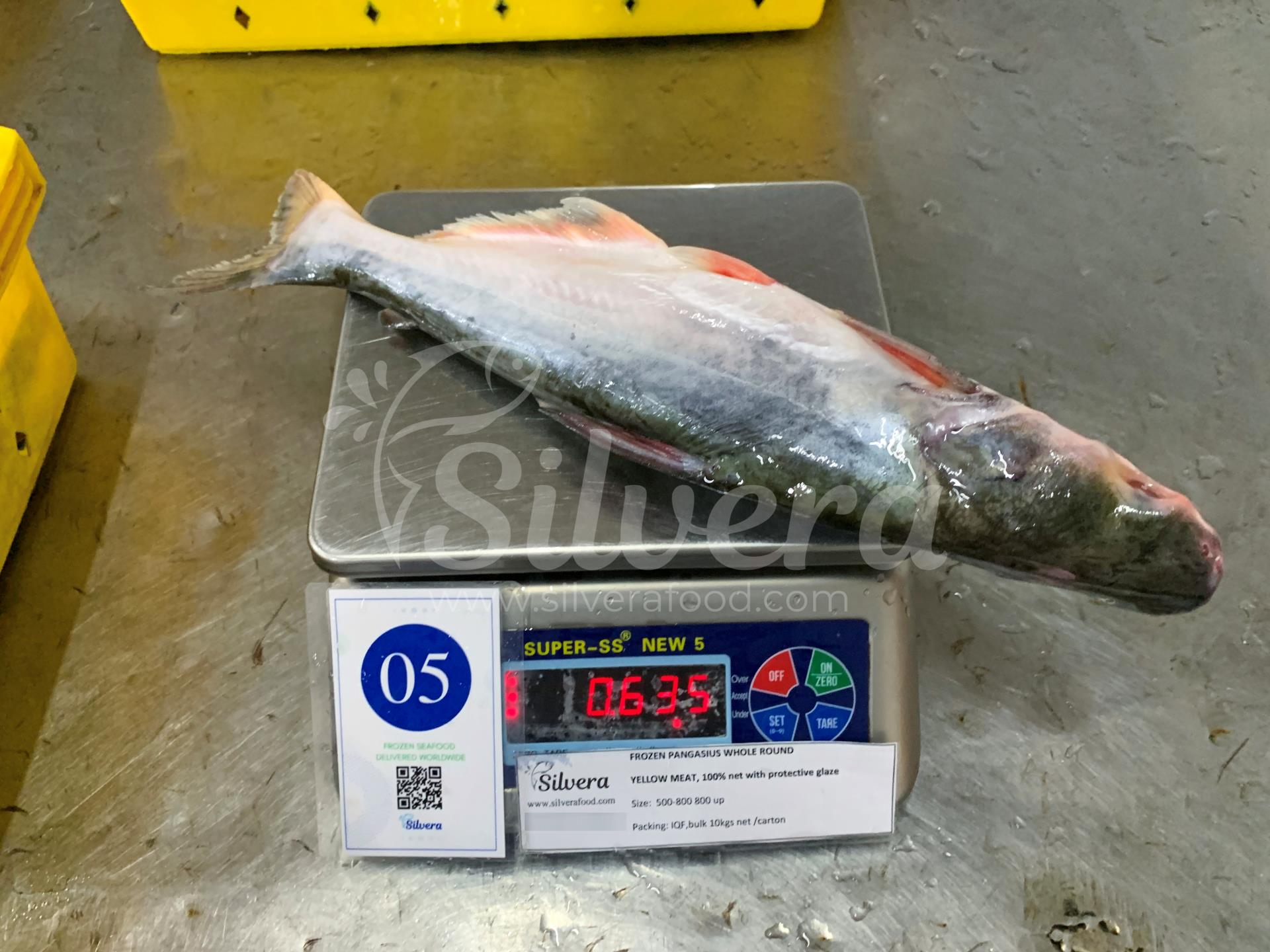 Pangasius whole round size 500-800g