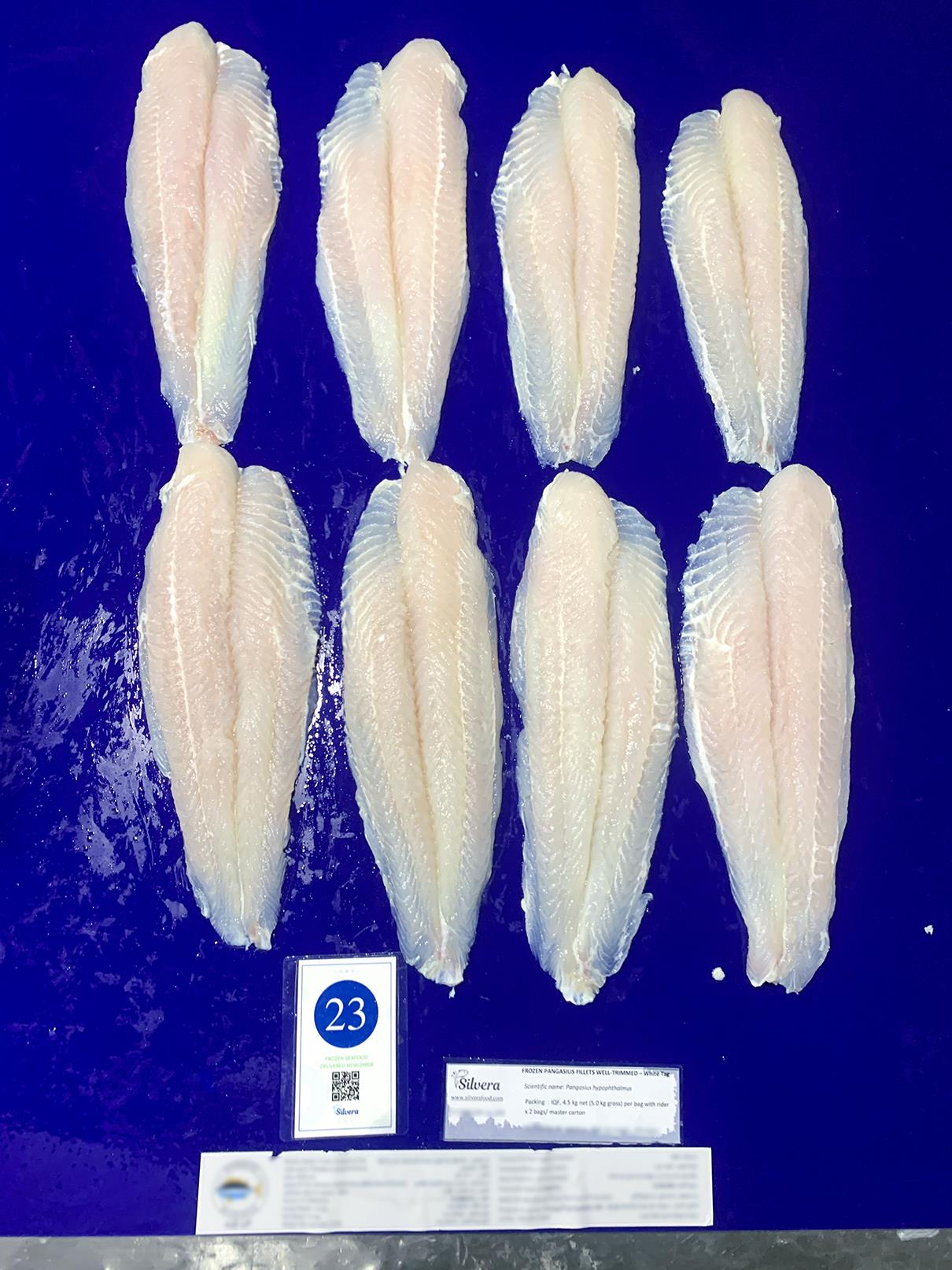 Thawed pangasius fillets