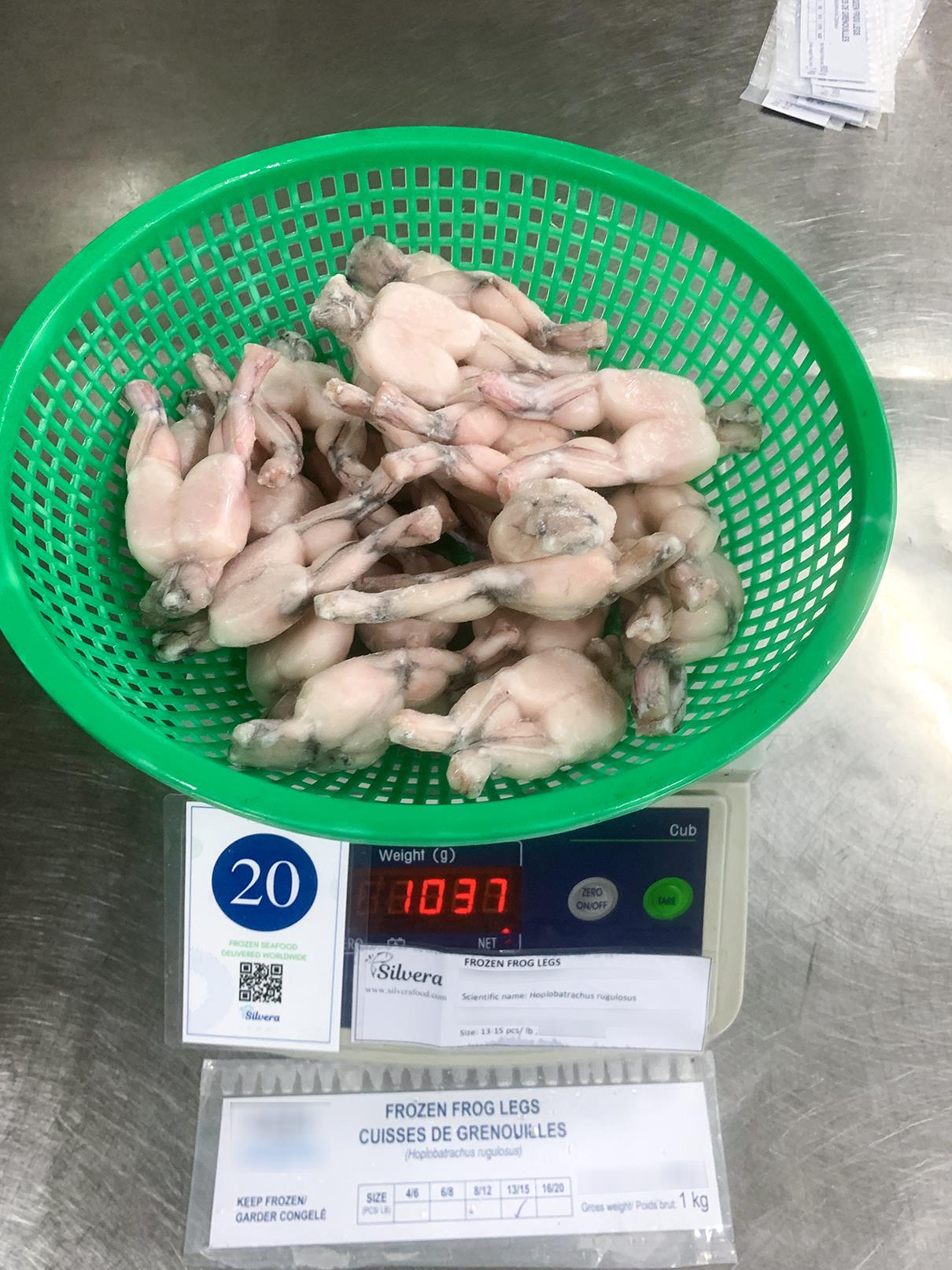 Gross weight frozen frog legs