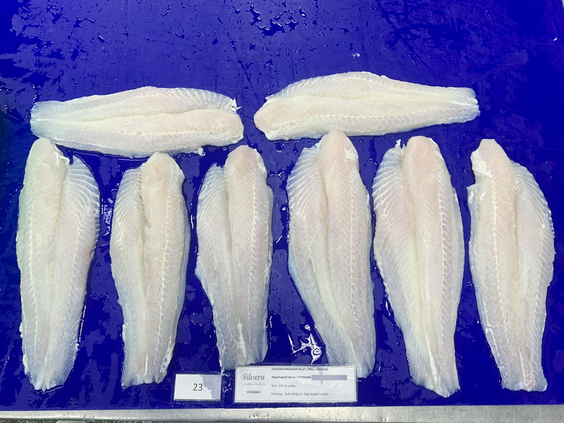 Thawed pangasius fillets