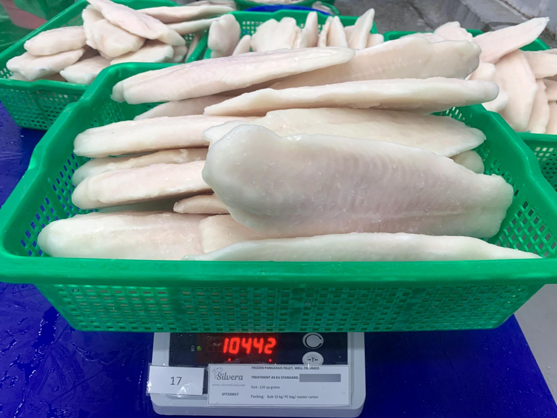 Frozen pangasius fillets