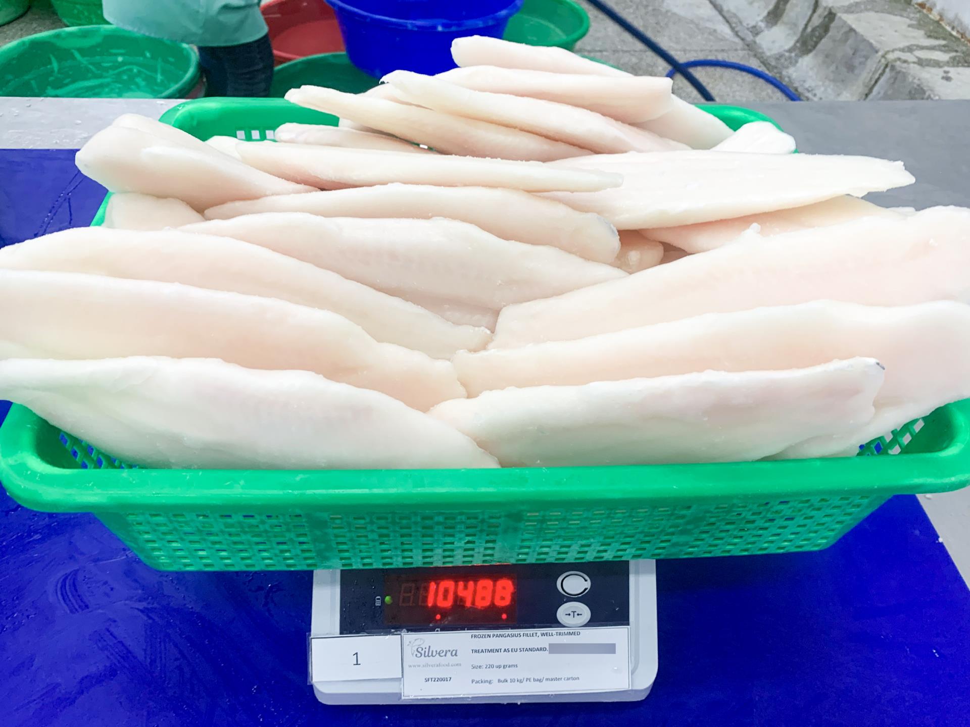 Frozen pangasius fillets