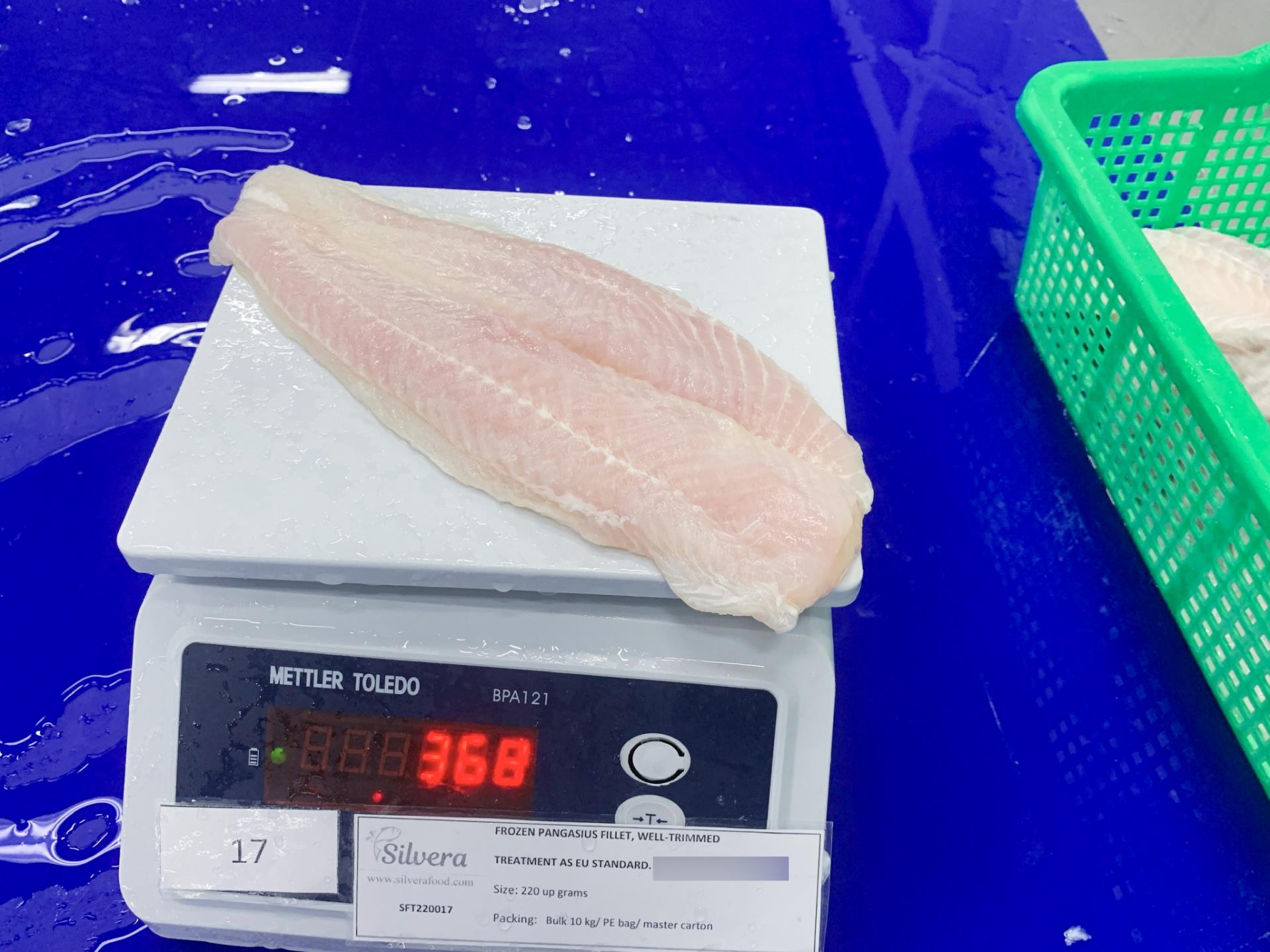 Pangasius fillet size 220 up g/ pc