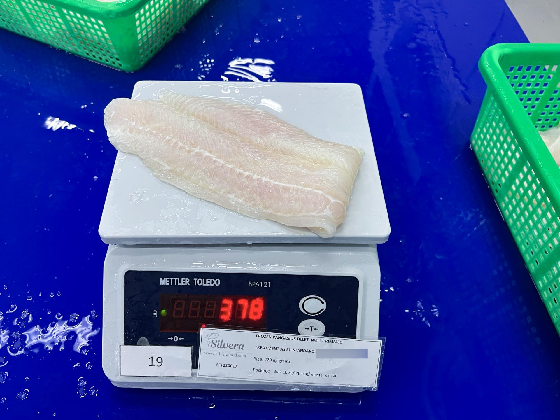 Pangasius fillet size 220 up g/ pc