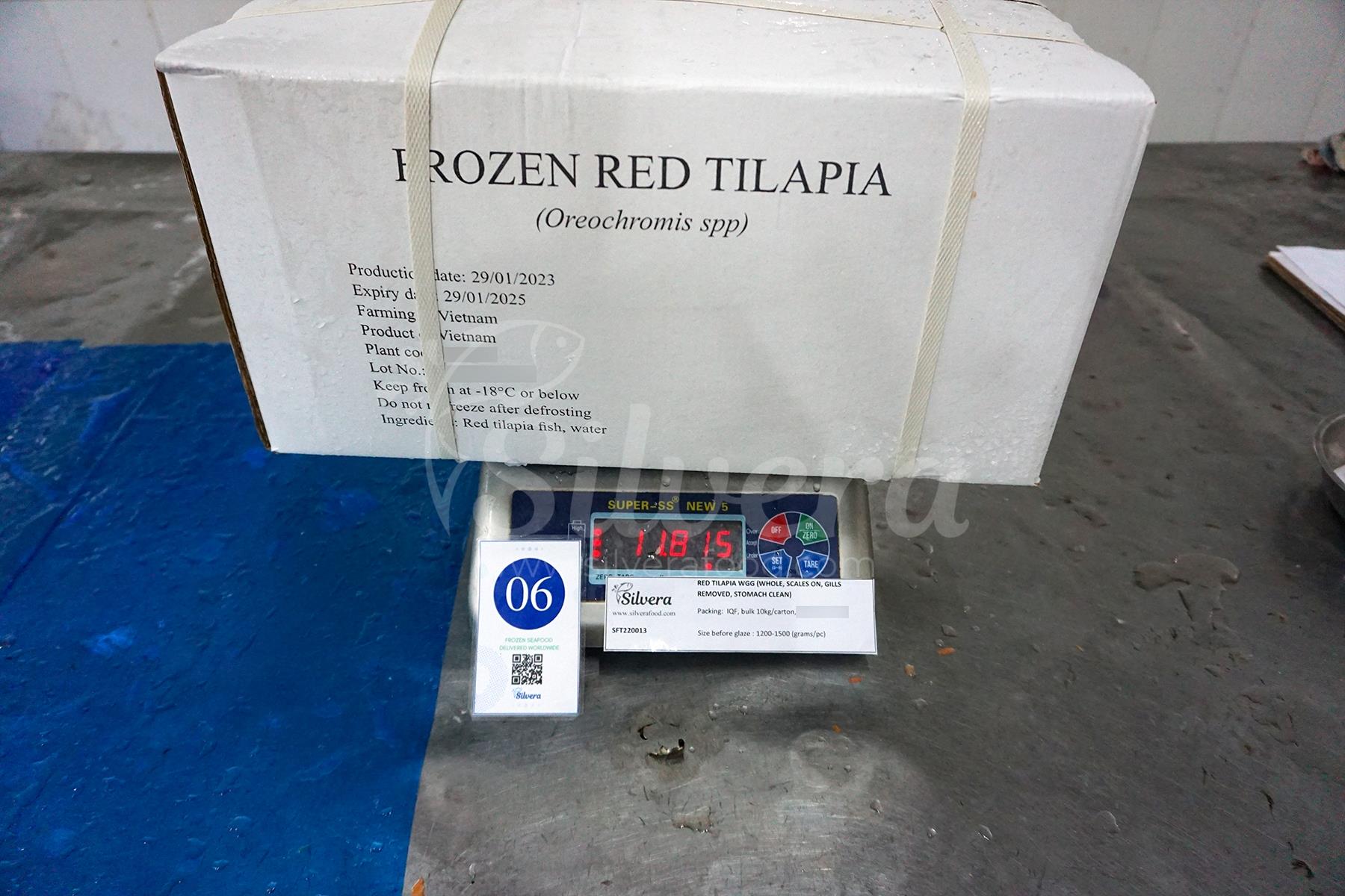 Master carton of red tilapia whole gutted