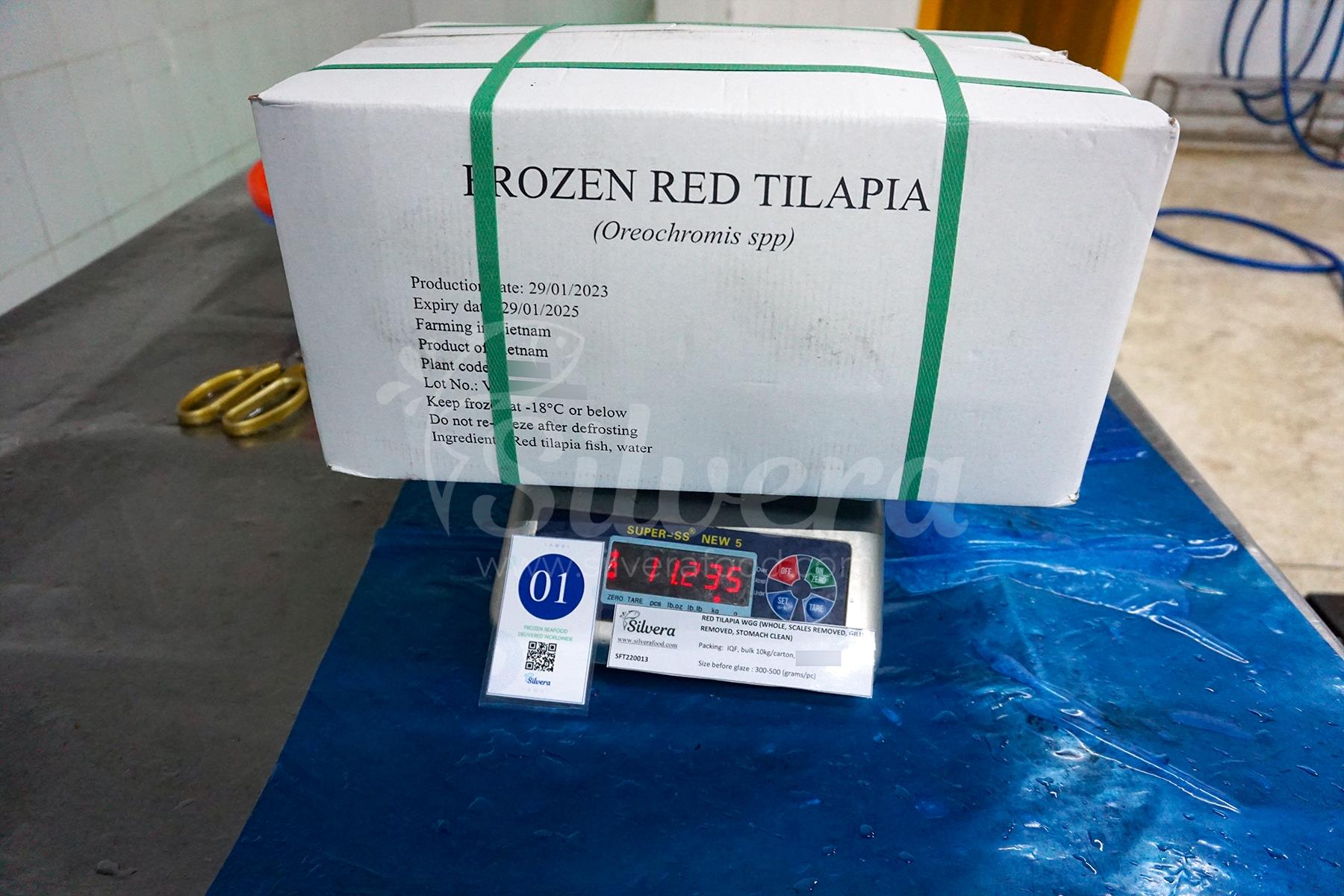 Master carton of red tilapia whole gutted