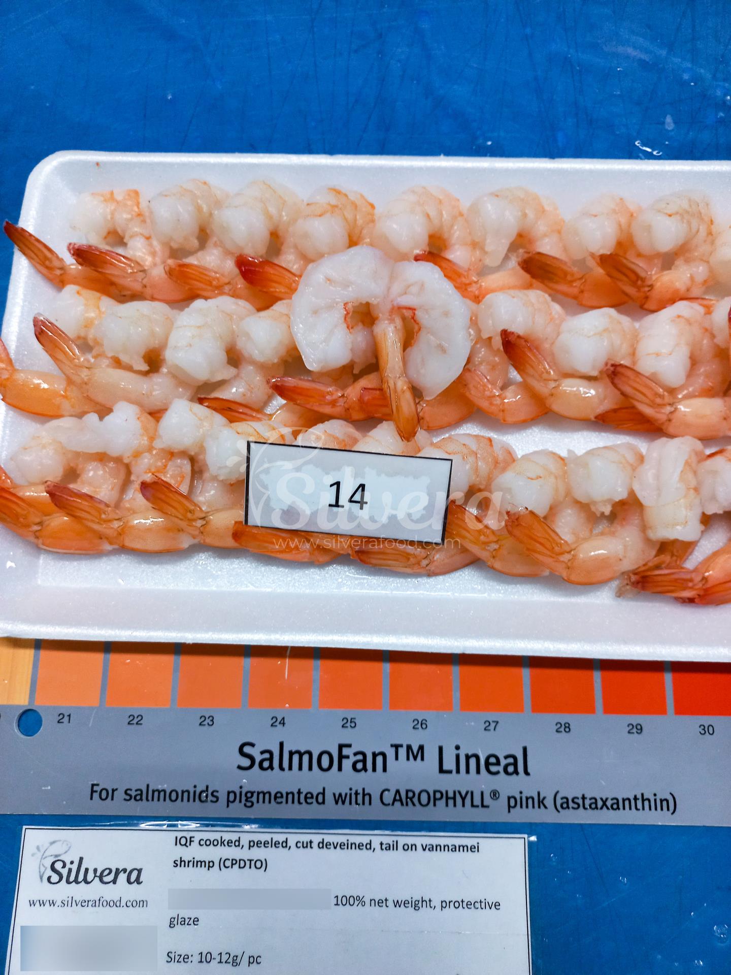 Thawed CPDTO vannamei shrimp