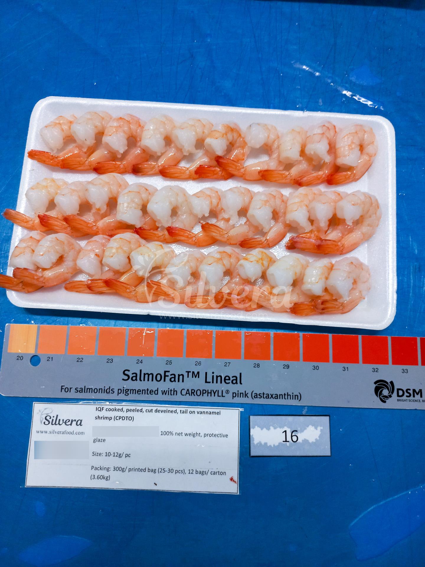 Thawed CPDTO vannamei shrimp