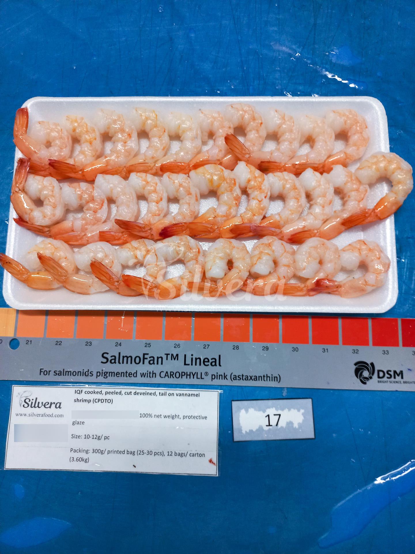 Thawed CPDTO vannamei shrimp