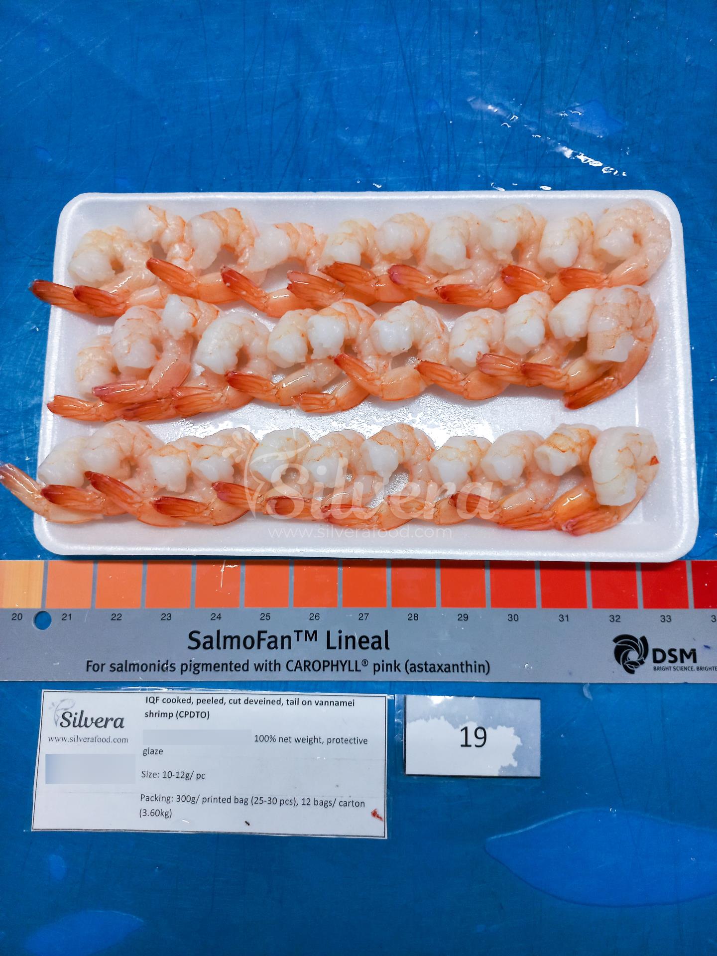 Thawed CPDTO vannamei shrimp