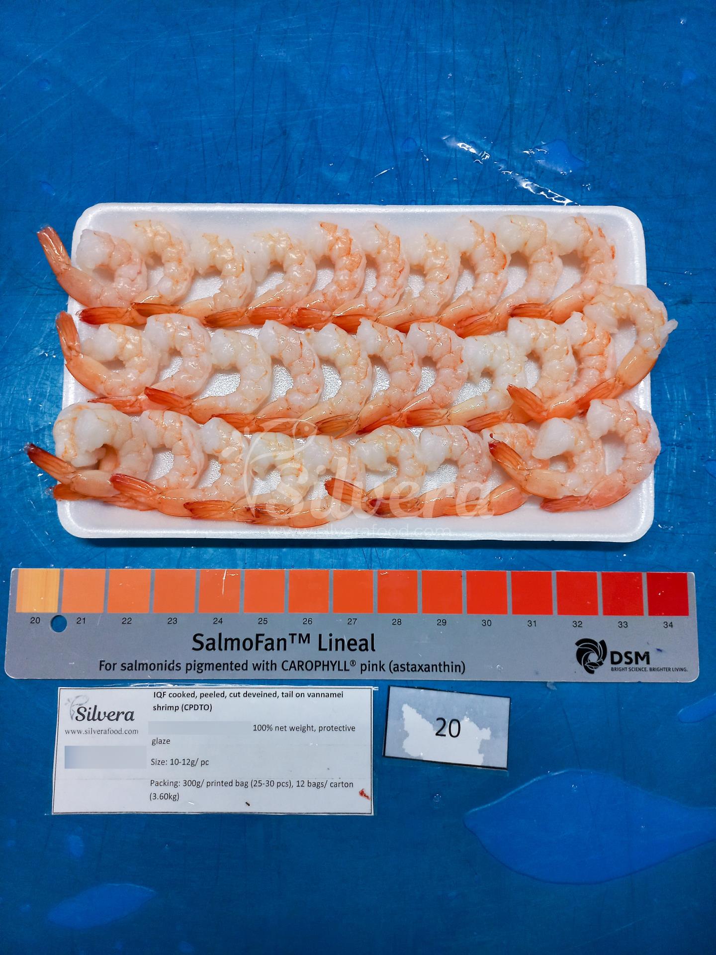 Thawed CPDTO vannamei shrimp