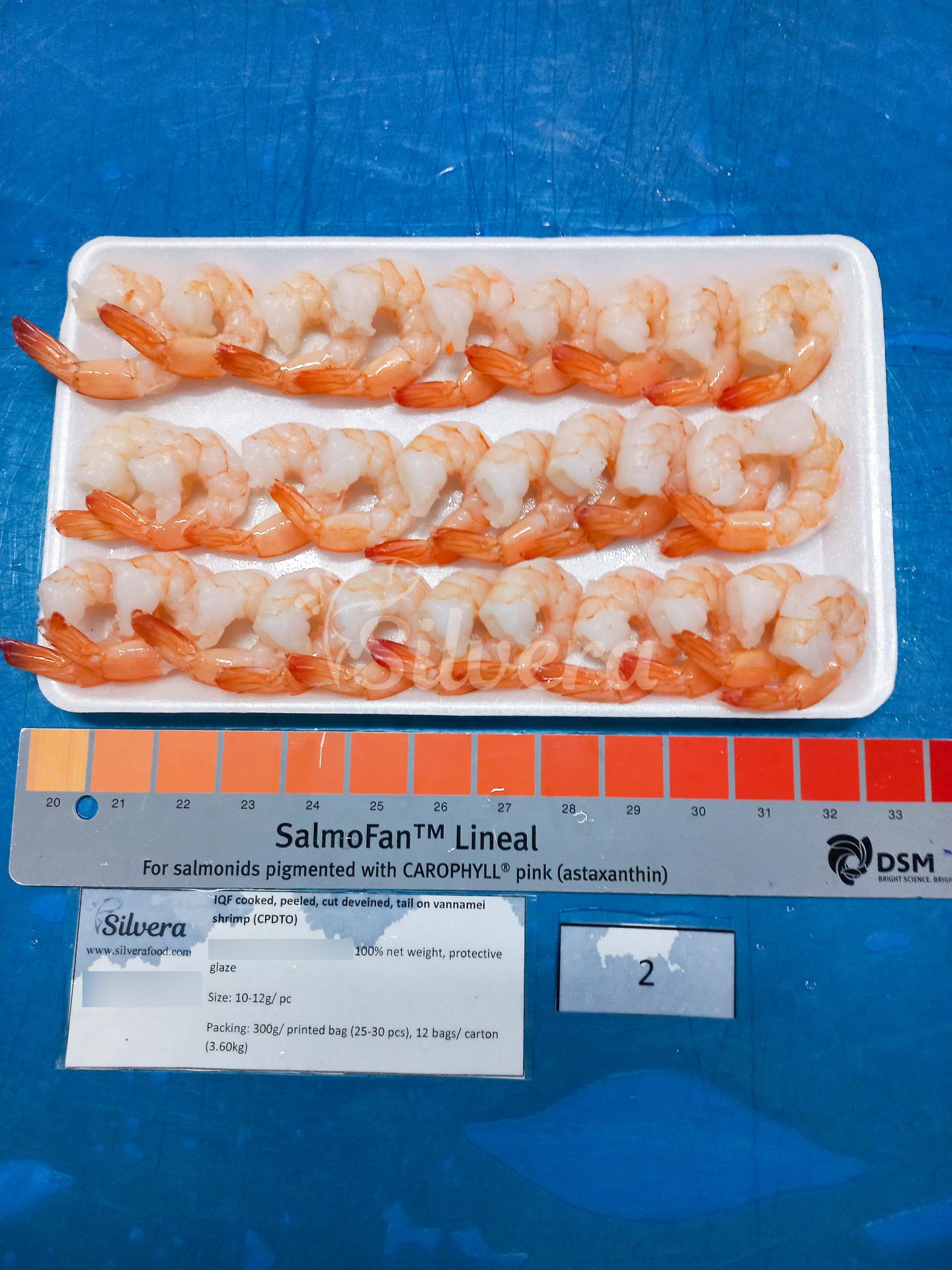 Thawed CPDTO vannamei shrimp