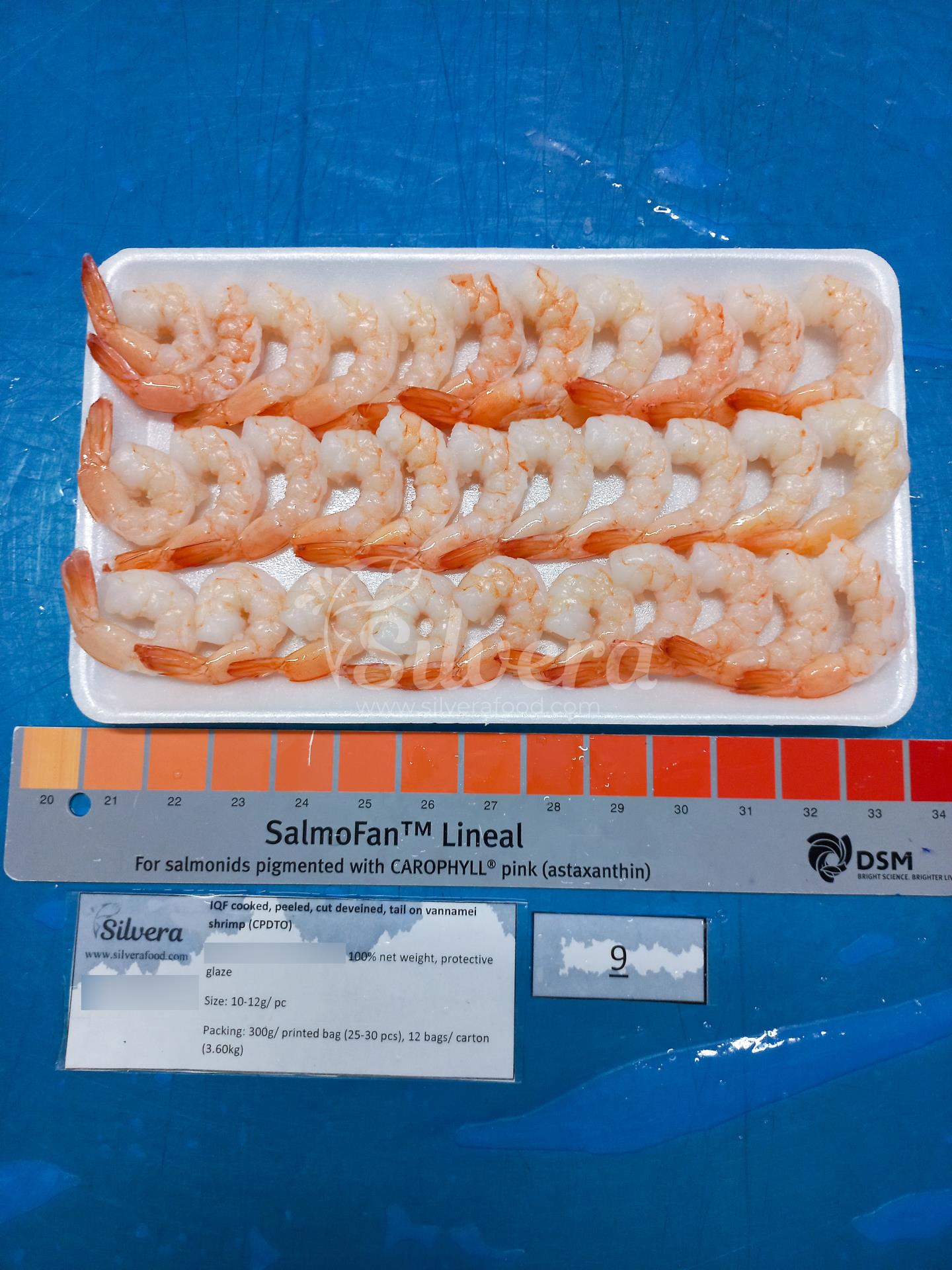 Thawed CPDTO vannamei shrimp